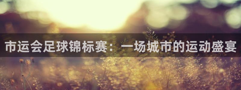 市运会足球锦标赛：一场城市的运动盛宴