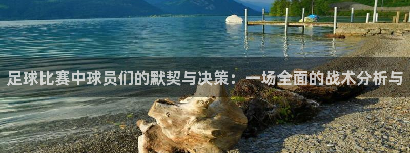 足球比赛中球员们的默契与决策：一场全面的战术分析与