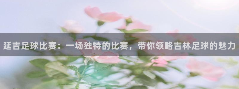 延吉足球比赛：一场独特的比赛，带你领略吉林足球的魅力