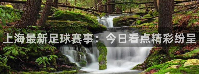 上海最新足球赛事：今日看点精彩纷呈