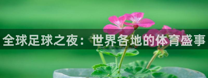 全球足球之夜：世界各地的体育盛事