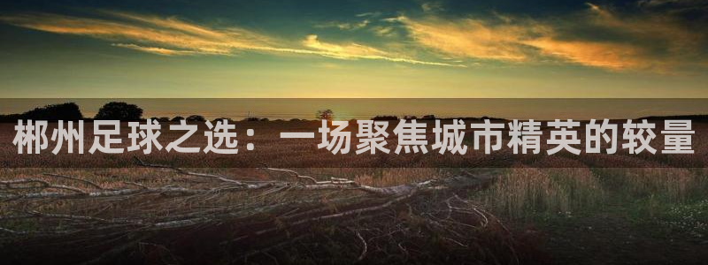 郴州足球之选：一场聚焦城市精英的较量