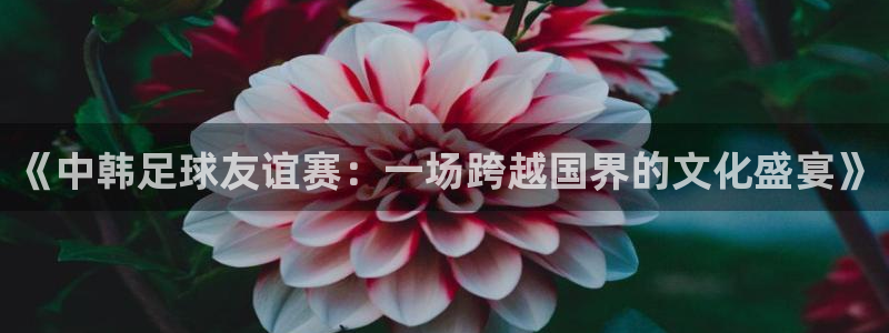  《中韩足球友谊赛：一场跨越国界的文化盛宴》