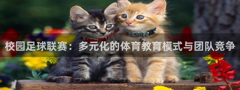  校园足球联赛：多元化的体育教育模式与团队竞争