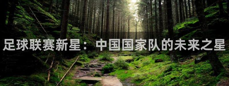 足球联赛新星：中国国家队的未来之星