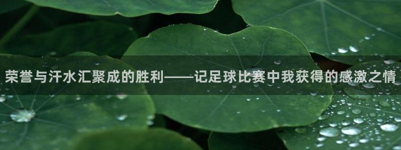  荣誉与汗水汇聚成的胜利——记足球比赛中我获得的感激之情