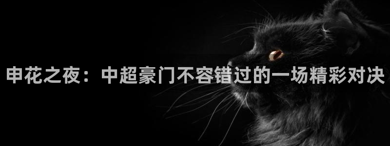 申花之夜：中超豪门不容错过的一场精彩对决