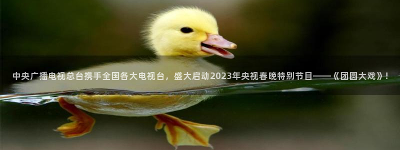 nba直播玩球直播：中央广播电视总台携手全国各大电视台，盛大启动2023年央视春晚特别节目——《团圆大戏》!