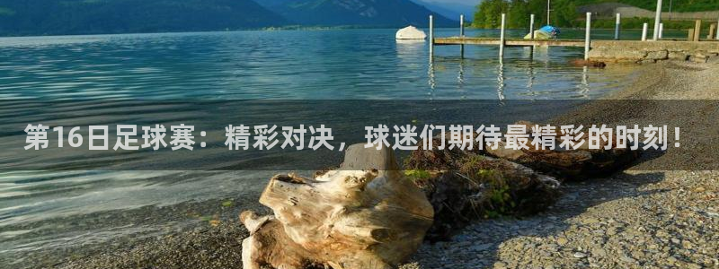 第16日足球赛：精彩对决，球迷们期待