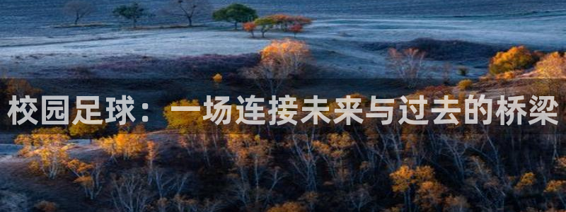 校园足球：一场连接未来与过去的桥梁