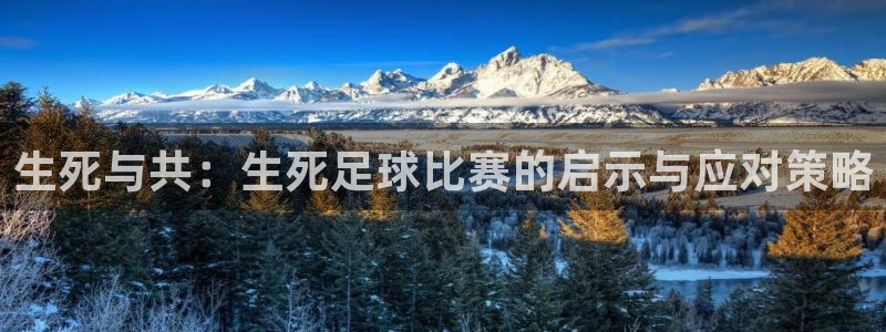 生死与共：生死足球比赛的启示与应对策