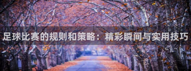 足球比赛的规则和策略：精彩瞬间与实用
