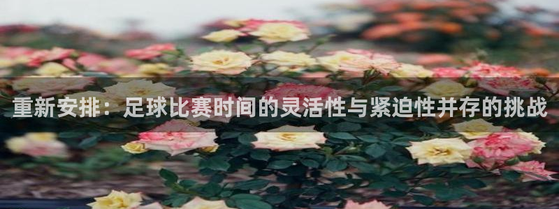 重新安排：足球比赛时间的灵活性与紧迫