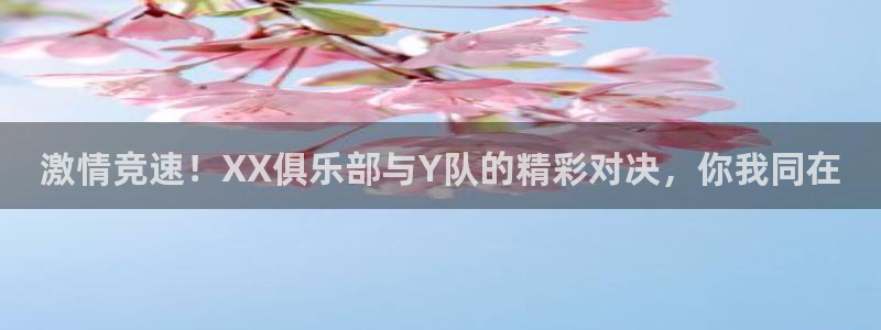 激情竞速！XX俱乐部与Y队的精彩对决