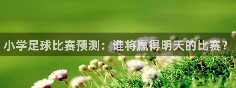 小学足球比赛预测：谁将赢得明天的比赛