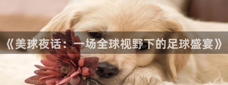 《美球夜话：一场全球视野下的足球盛宴