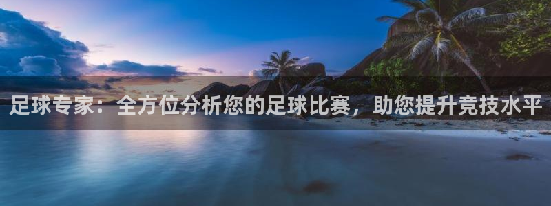  足球专家：全方位分析您的足球比赛，助您提升竞技水平