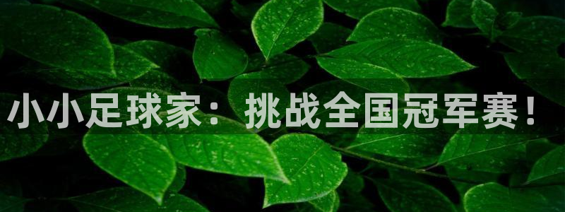 小小足球家：挑战全国冠军赛！