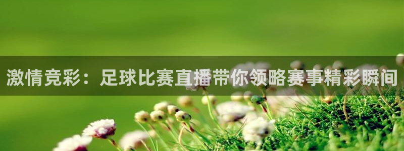 激情竞彩：足球比赛直播带你领略赛事精