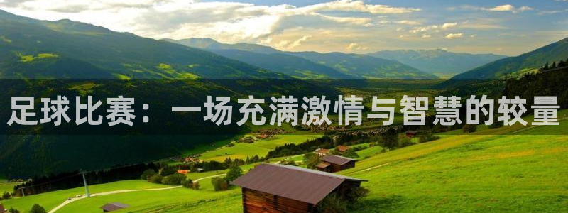 足球比赛：一场充满激情与智慧的较量