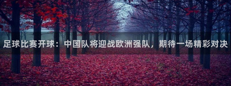  足球比赛开球：中国队将迎战欧洲强队，期待一场精彩对决