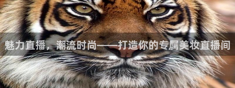 玩球直播免费高清在线：魅力直播，潮流时尚——打造你的专属美妆直播间