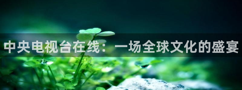 玩球直播吧：中央电视台在线：一场全球文化的盛宴