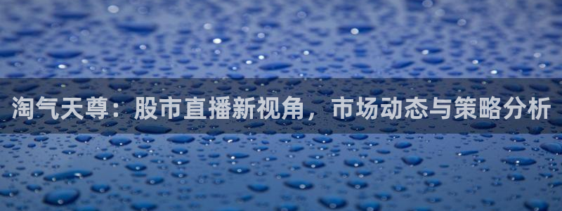 玩球直播免费直播：淘气天尊：股市直播新视角，市场动态与策略分析