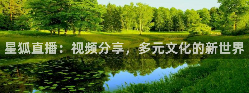 宝宝玩球视频：星狐直播：视频分享，多元文化的新世界