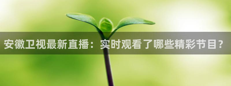 玩球体育：安徽卫视最新直播：实时观看了哪些精彩节目？