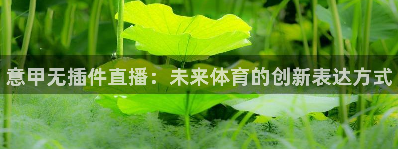 宝宝玩球视频：意甲无插件直播：未来体育的创新表达方式