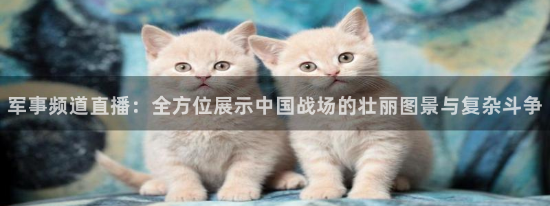 玩球直播官网下载