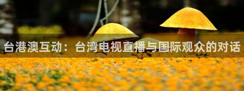 玩球直播免费高清在线：台港澳互动：台湾电视直播与国际观众的对话
