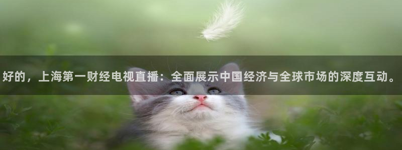 玩球直播官网：好的，上海第一财经电视直播：全面展示中国经济与全球市场的深度互动。