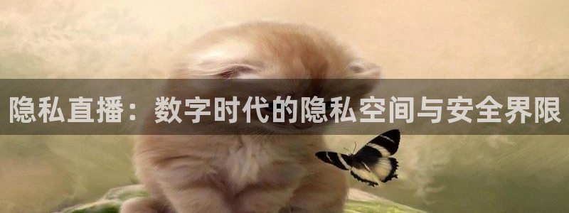 玩球app直播：隐私直播：数字时代的隐私空间与安全界限
