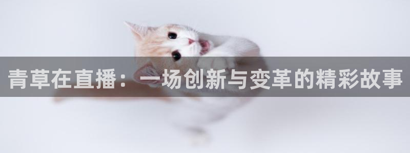 下载玩球直播：青草在直播：一场创新与变革的精彩故事